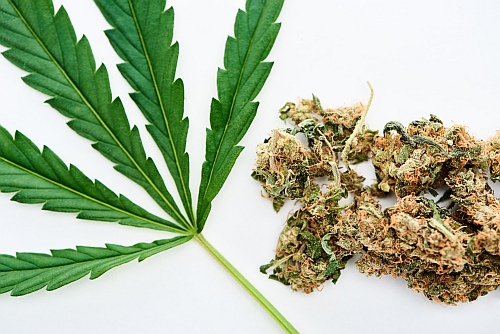 marijuana possession is illegal in our state