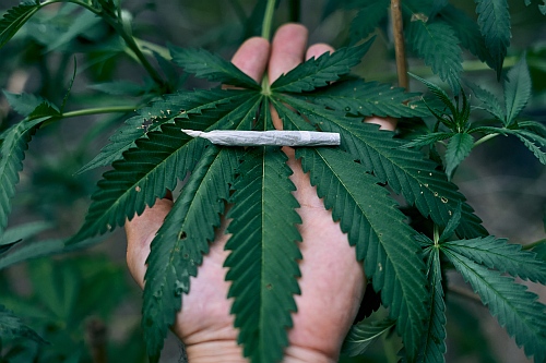 marijuana charges carry severe penalties, especially for repeat offenders